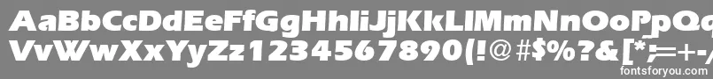 ErgoultraRegularDb Font – White Fonts on Gray Background