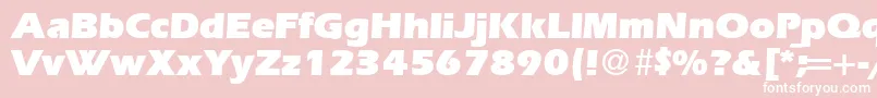 ErgoultraRegularDb Font – White Fonts on Pink Background