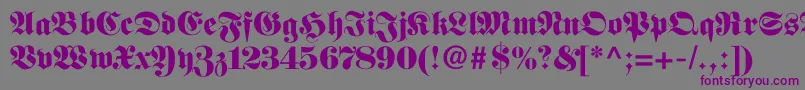 Fettefrakturフォントについての詳細 フォントFettefraktur – 紫色のフォント、灰色の背景