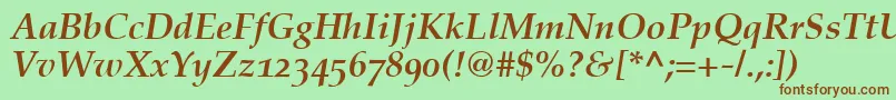 CriteriaSsiBoldItalicOldStyleFigures Font – Brown Fonts on Green Background