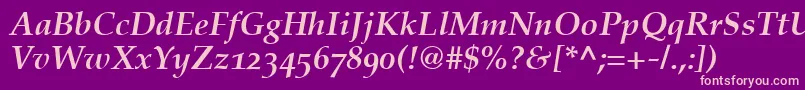 CriteriaSsiBoldItalicOldStyleFigures Font – Pink Fonts on Purple Background