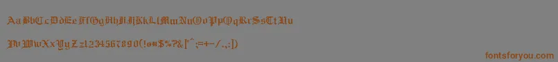 RmAlbion Font – Brown Fonts on Gray Background
