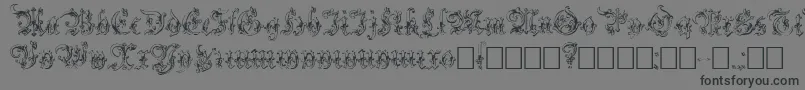 Strelsau Font – Black Fonts on Gray Background