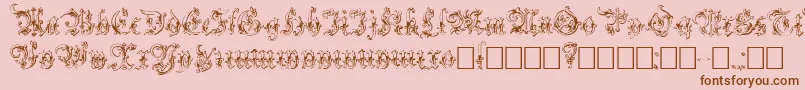 Strelsau Font – Brown Fonts on Pink Background