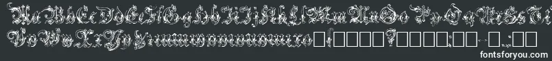 Шрифт Strelsau – белые шрифты