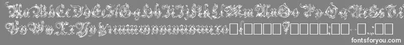 Strelsau Font – White Fonts on Gray Background