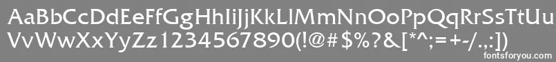 フォントFrizquaitctee – 灰色の背景に白い文字
