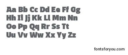 DomotikaBlackTrial Font