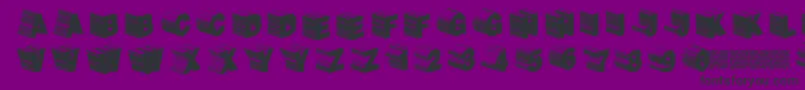 Twerkfifty Font – Black Fonts on Purple Background