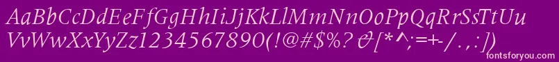MetaphorItalic-Schriftart – Rosa Schriften auf violettem Hintergrund