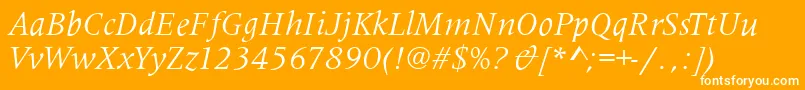 MetaphorItalic Font – White Fonts on Orange Background
