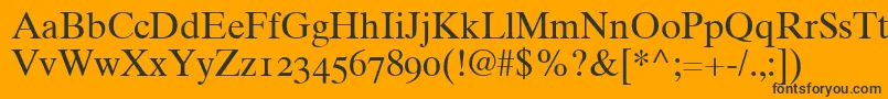 Times10RomanOldstyleFigures Font – Black Fonts on Orange Background