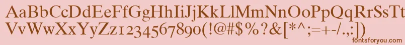 Times10RomanOldstyleFigures Font – Brown Fonts on Pink Background