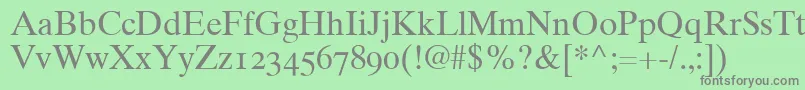Times10RomanOldstyleFigures Font – Gray Fonts on Green Background