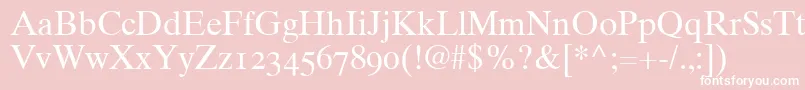 Times10RomanOldstyleFigures Font – White Fonts on Pink Background