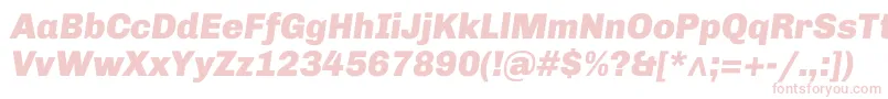 ChivoBlackitalic Font – Pink Fonts on White Background