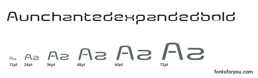 Aunchantedexpandedbold Font Sizes