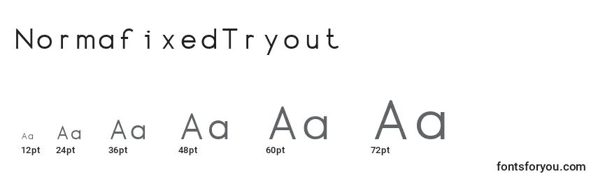 NormafixedTryout Font Sizes