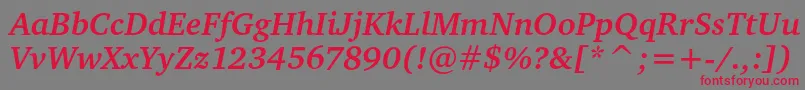 CharteritcBoldItalic Font – Red Fonts on Gray Background