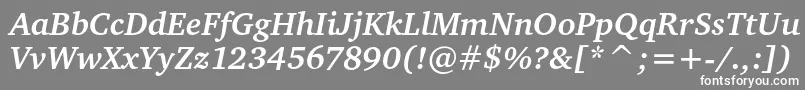CharteritcBoldItalic Font – White Fonts on Gray Background