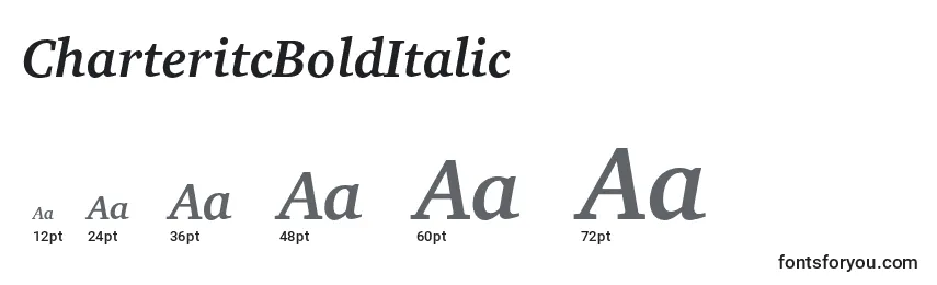 Размеры шрифта CharteritcBoldItalic