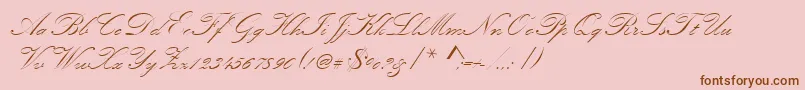 Kunstlerschreibschdmed Font – Brown Fonts on Pink Background