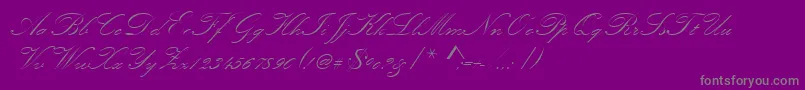 Kunstlerschreibschdmed Font – Gray Fonts on Purple Background