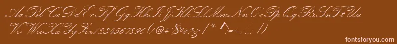 Kunstlerschreibschdmed Font – Pink Fonts on Brown Background