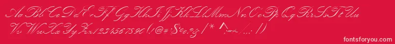 Kunstlerschreibschdmed Font – Pink Fonts on Red Background