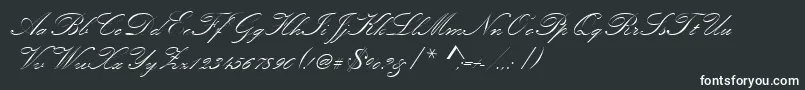 Kunstlerschreibschdmed Font – White Fonts on Black Background
