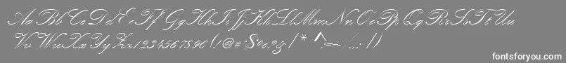 Kunstlerschreibschdmed Font – White Fonts on Gray Background