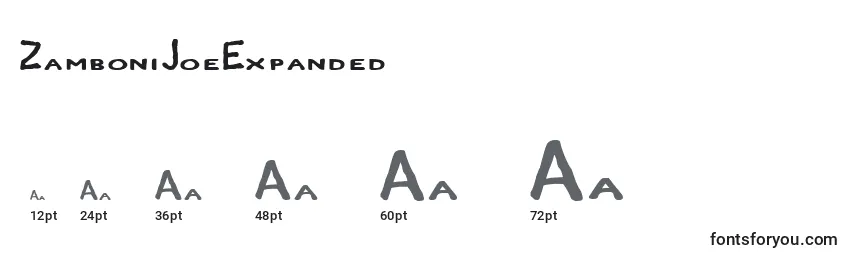 ZamboniJoeExpanded Font Sizes