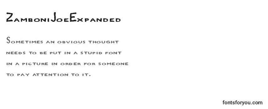 Review of the ZamboniJoeExpanded Font