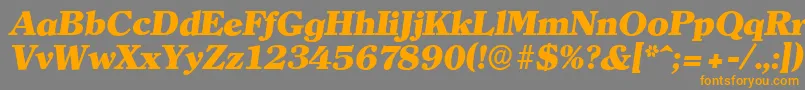 ClearfaceserialHeavyItalic Font – Orange Fonts on Gray Background