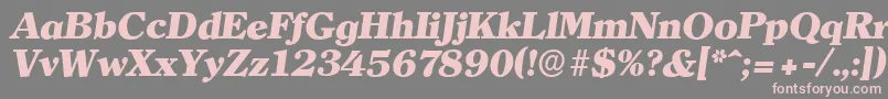 ClearfaceserialHeavyItalic Font – Pink Fonts on Gray Background