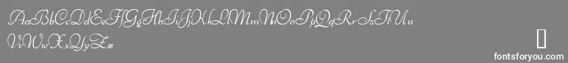 IthurielDemo Font – White Fonts on Gray Background