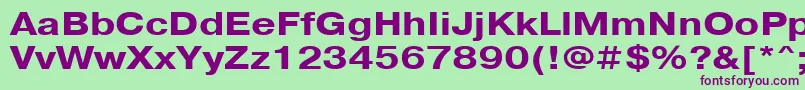 PragmaticacttBold120 Font – Purple Fonts on Green Background