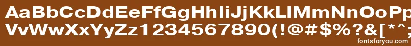 PragmaticacttBold120-Schriftart – Weiße Schriften auf braunem Hintergrund