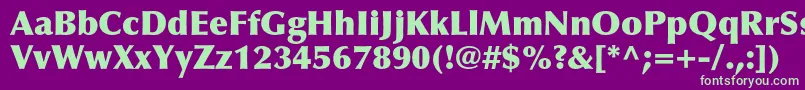 OptimaltstdExtrablack Font – Green Fonts on Purple Background