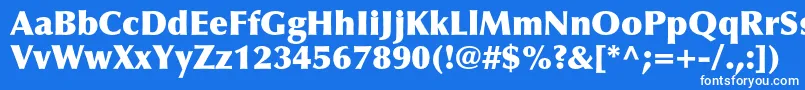 Czcionka OptimaltstdExtrablack – białe czcionki na niebieskim tle