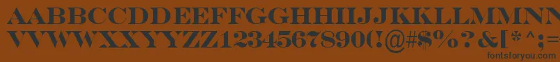 SerifertitulBold Font – Black Fonts on Brown Background