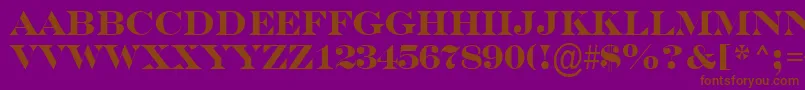 SerifertitulBold Font – Brown Fonts on Purple Background