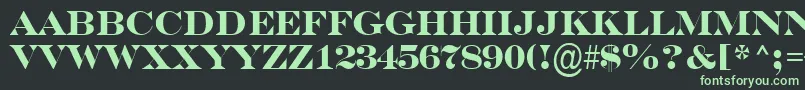 フォントSerifertitulBold – 黒い背景に緑の文字