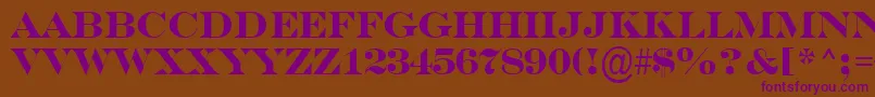 SerifertitulBold Font – Purple Fonts on Brown Background