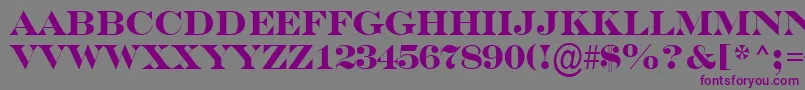 SerifertitulBold Font – Purple Fonts on Gray Background