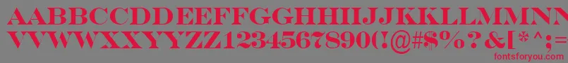 SerifertitulBold Font – Red Fonts on Gray Background