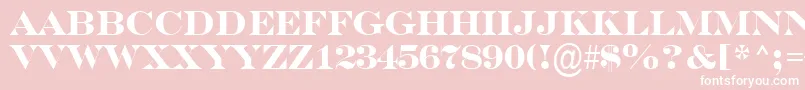 SerifertitulBold Font – White Fonts on Pink Background