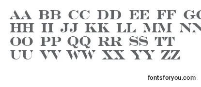 Обзор шрифта SerifertitulBold