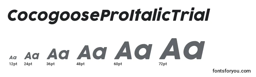 CocogooseProItalicTrial Font Sizes
