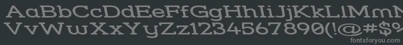 フォントStrslswr – 黒い背景に灰色の文字